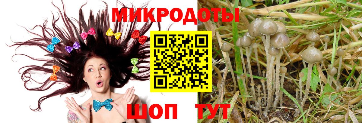 Галлюциногенные грибы GOLDEN TEACHER  Вход с VPN  Ржев  Галлюциногенные грибы GOLDEN TEACHER 